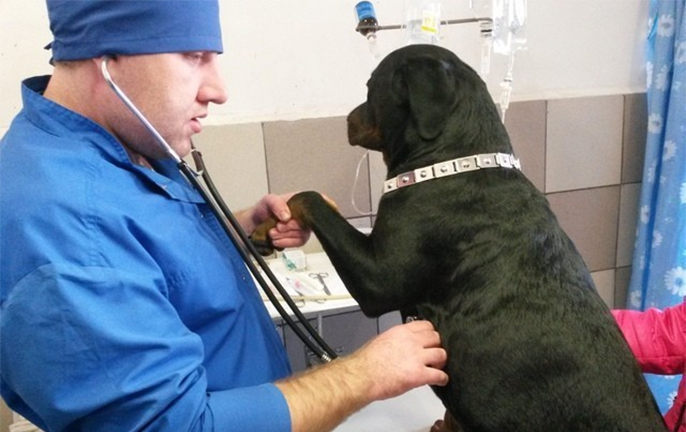 ���������� ���������� ������� 2015