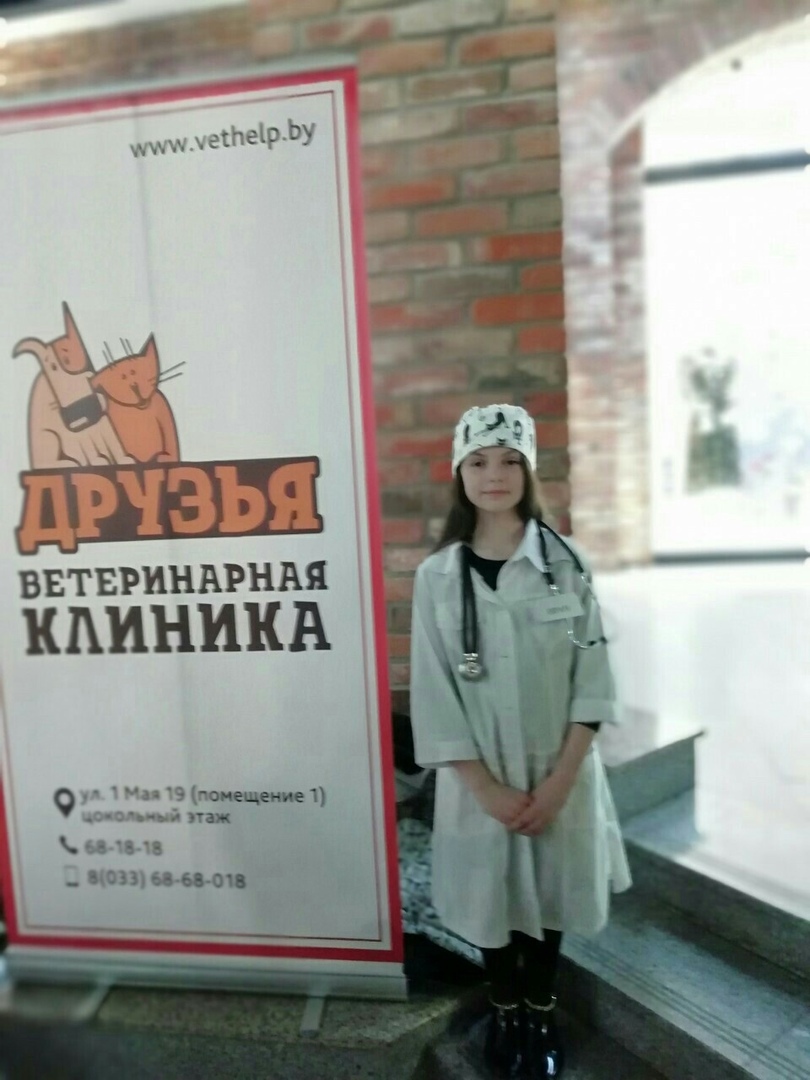 Дай Лапу Интернет Магазин Минск