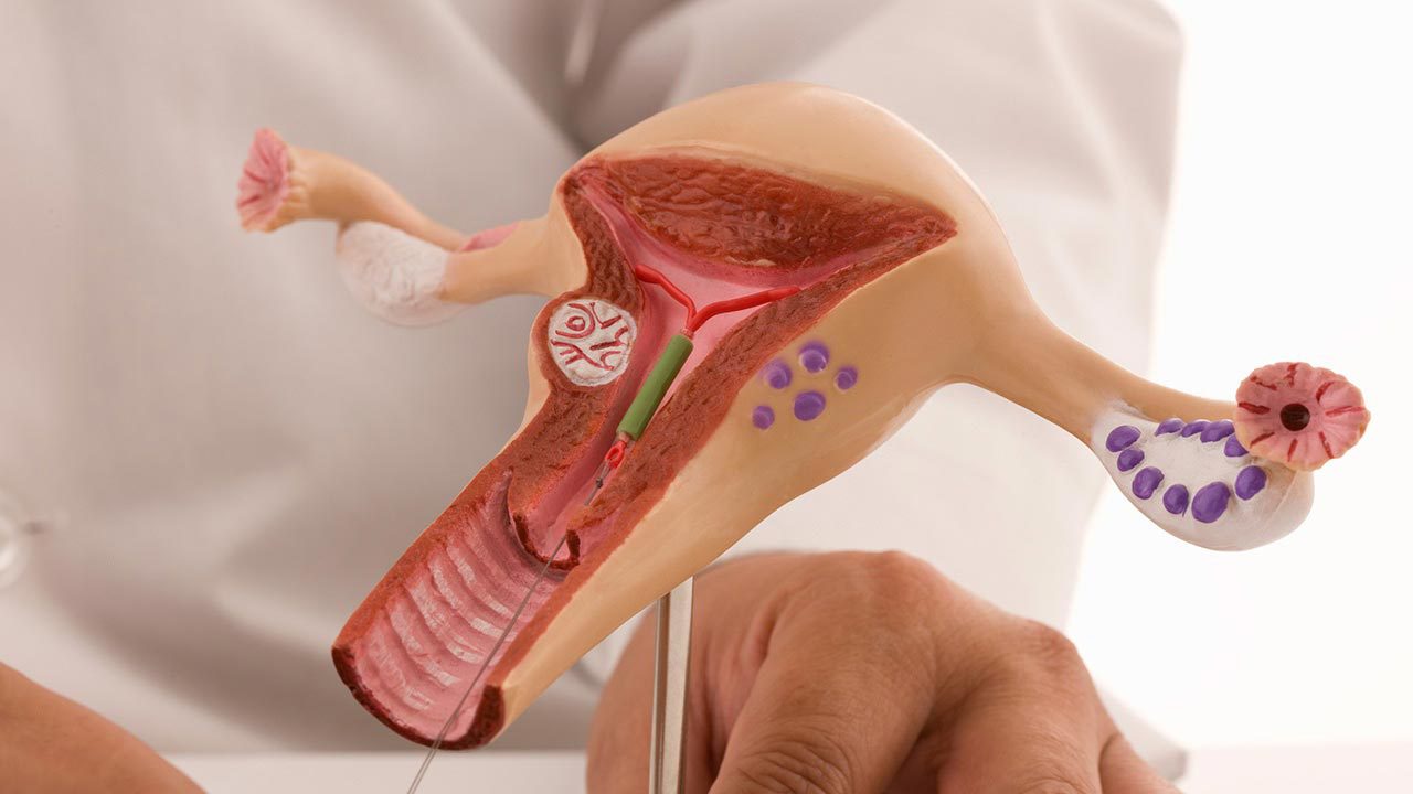 гинекологическое выскабливание что это такое. Смотреть фото гинекологическое выскабливание что это такое. Смотреть картинку гинекологическое выскабливание что это такое. Картинка про гинекологическое выскабливание что это такое. Фото гинекологическое выскабливание что это такое гинекологическое выскабливание что это такое. Смотреть фото гинекологическое выскабливание что это такое. Смотреть картинку гинекологическое выскабливание что это такое. Картинка про гинекологическое выскабливание что это такое. Фото гинекологическое выскабливание что это такое